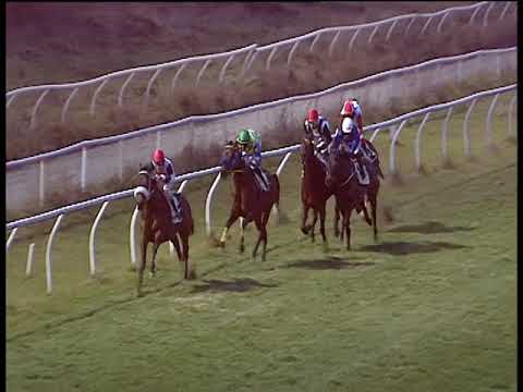 Galoppo 05/01/2019 - 5ª corsa