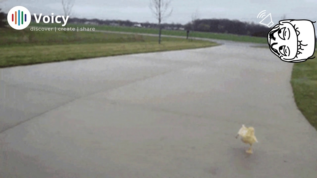 Run (Meme) | Sound Effect | Original [HD]