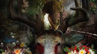 Kaospilot   The Symphony Plays With Nature's Crimes