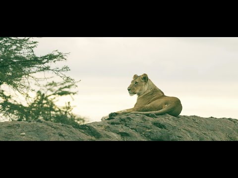 Aly Mayely & Chystemc - Maestros de luz (beat Dj One Seven)