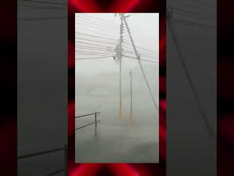 fuertes lluvias causaron caída de árboles en maturín estado monagas Venezuela #news #venezuela