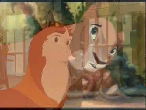 Video Contest {Clossed}