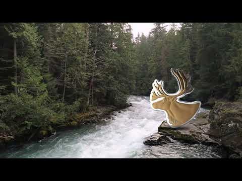 2020 $50 Real Shapes - Pure Silver 6-Coin Subscription