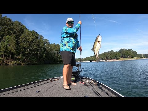 Underspin & Top Water action on Lake Allatoona