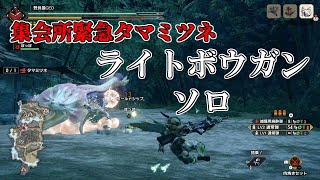 【モンスターハンターライズ】集会所緊急タマミツネ（ライトボウガン・ソロ）