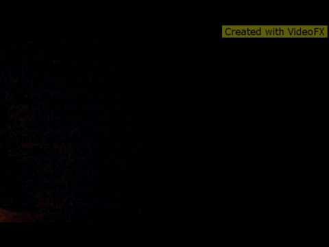 JAY-WILD X TRAPSTAR (freestyle)