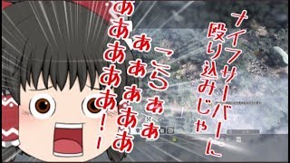 【ゆっくり実況】ゆっくりのやりたい放題バトルフィールド１＃2【ヤリバト】下ネタ注意