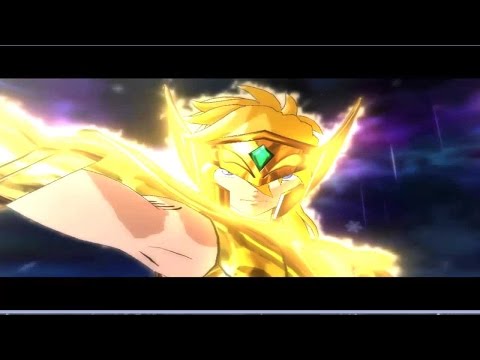 Aquarius Hyoga Gold Cloth All Finisher