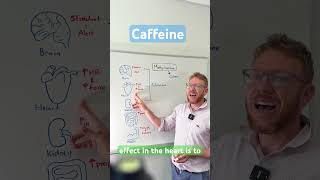 Caffeine explained in 2 mins!