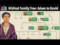 Biblical Family Tree 1 - Adam to David