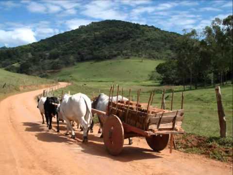 João Carreiro video