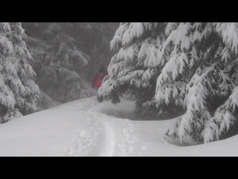 Traseu in Bucegi ~ Gura Diham - Poiana Izvoarelor - Diham - Gura Diham