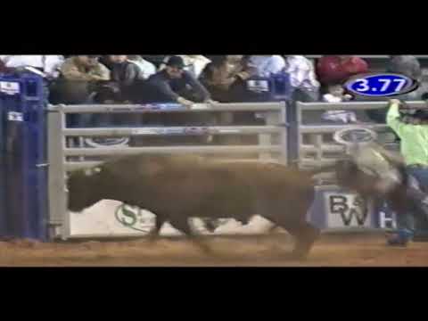 Pandora’s Box bucks Clint Craig - 07 CBR El Paso