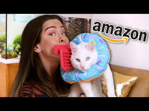 Ich teste KRANKE KATZEN PRODUKTE von Amazon an den Cats!