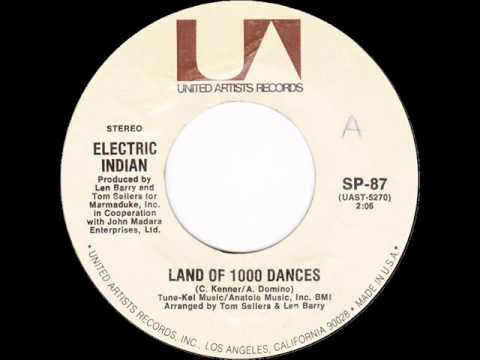 Electric Indian - Land Of 1000 Dances