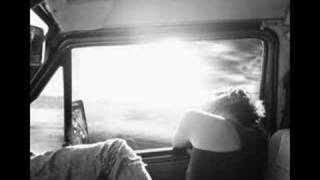 bees and butterflies