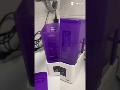 Coral Lis Ceresa-12