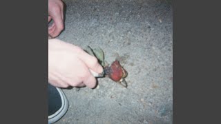 Cover art for bird trapped in a mall