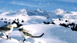 Contest Entry: Blue Skies Again - Jessica Lea Mayfield (HD)