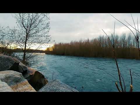 Nikolai Erdenko ~ "Oj, rucheek, rucheek" | Russian Gypsy Music