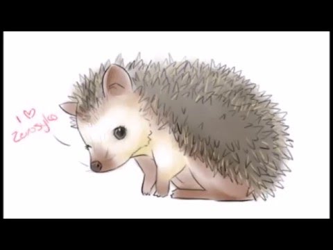 Caca - Ežiukas (žodžiai)