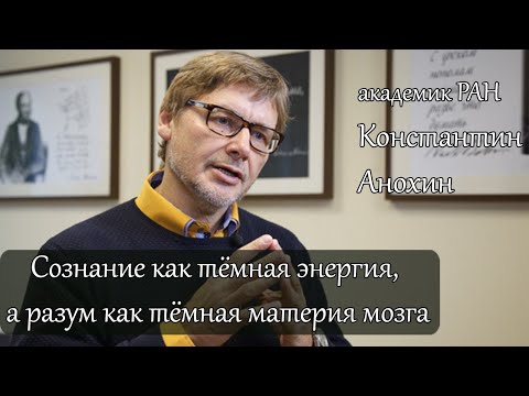 Сознание как тёмная энергия, а разум как тёмная материя мозга. Константин Анохин