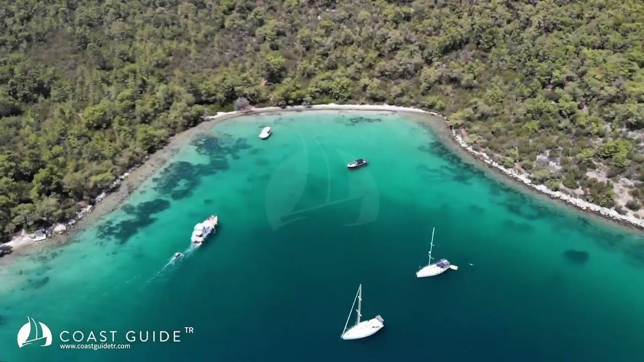 Yarım Liman Video