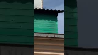 «Вонь на весь район»: хлебозавод в центре Николаева превратили в цех по копчению рыбы (видео)