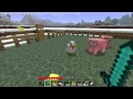 Episode 46: Minecraft - MORE: Baby animals mod ...