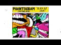 Phantogram Subtronics Black Out Days Subtronics Remix Visualizer