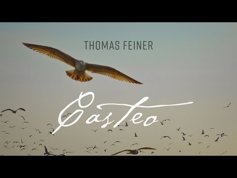 Thomas Feiner - Casteo