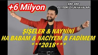 MEVLÜT TAŞPINAR - Potpori ŞİŞELER & NAYNİNİ & HA BABAM & NACİYEM & FADİMEM (Düğün Oyun Havaları)