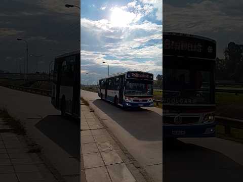 El nuevo 19 de la 218 yendo hasta cañuelas #bondis #viral #218 #fyp