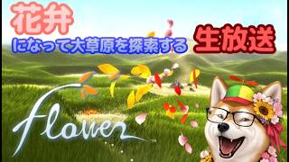 【flowery(生放送)】花弁になって大草原を探索できるゲームらしいよ(1)