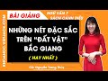 Những nét đặc sắc trên đất vật Bắc Giang Ngữ văn lớp 7 Cánh diều