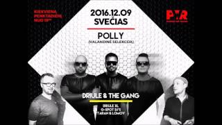 Mixed By Polly - Special For The Driule & The Gang Radio Show [2016 December]