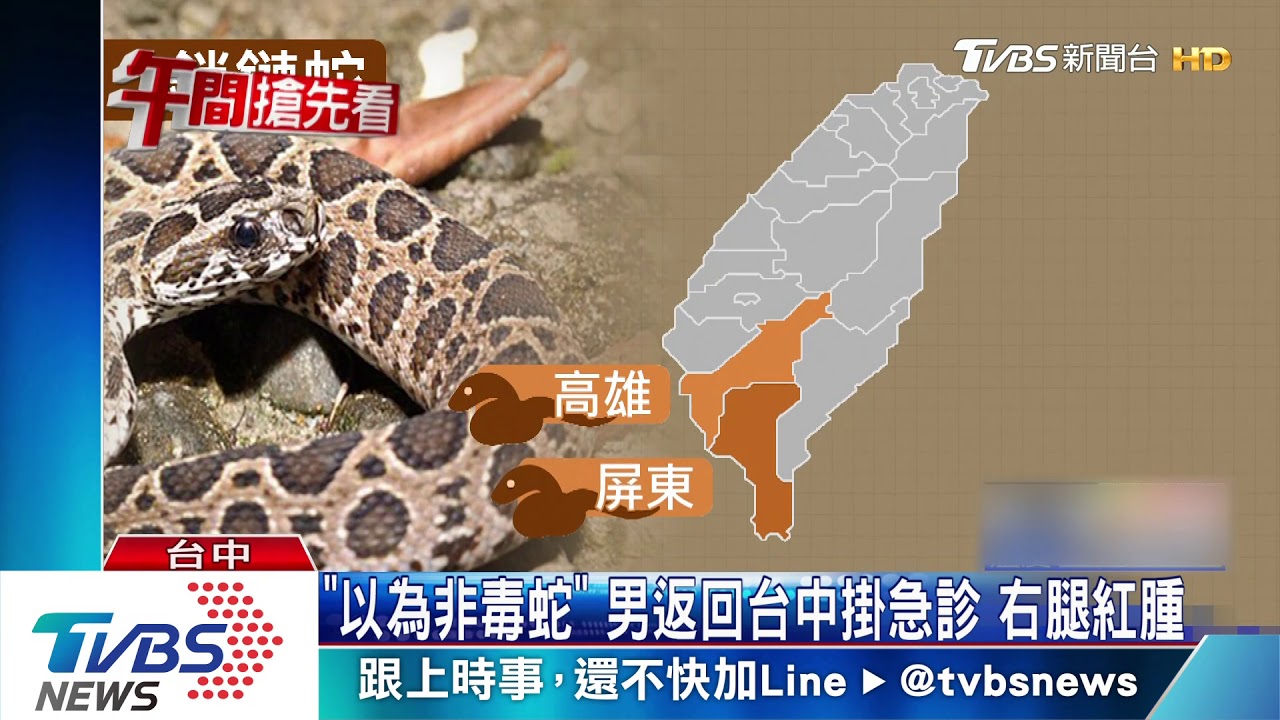恐怖!墾丁海灘散步 男遭鎖鏈蛇咬險送命