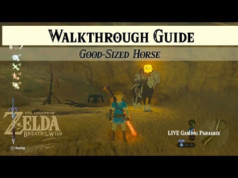 Breath of the Wild | Good-Sized Horse | Walkthrough Guide
