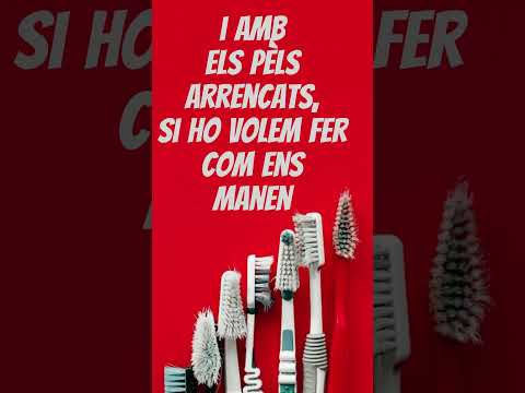 230203 raspallets biodegradables