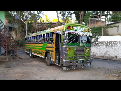 🚌ROUTE 246: FROM SAN PEDRO PUXTLA TO SONSONATE || PUBLIC TRANSPORTATION OF EL SALVADOR 🇸🇻 🔥