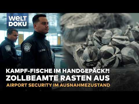 AIRPORT SECURITY: Lebende Tiere & Embargo-Ware – Zoll stoppt illegale Einfuhren in die USA!
