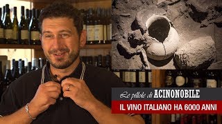il vino italiano di 6.000 anni fa