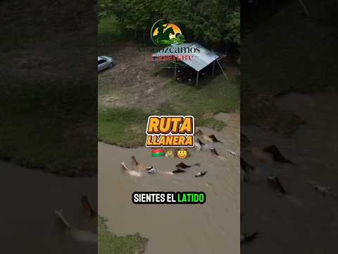2 de junio de 2026