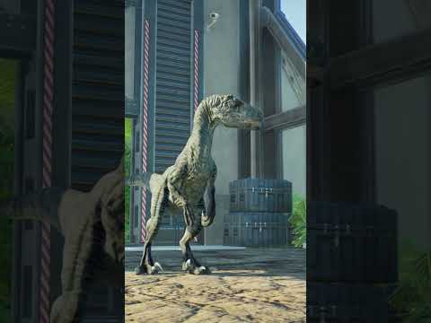 Chimpanze vs Velociraptor - Jurassic World Evolution 2.