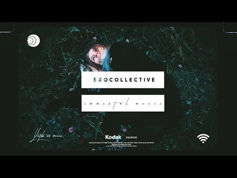 VSN7 - EXPOSURE / NEDOSTUPNOSTЬ