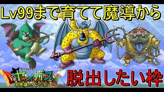 【少年ヤンガス】全モンスターLv99育成　ドッグスナイパー　ベリアル　ダークデーブル【魔導の宝物庫】