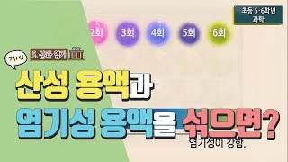 [초등 과학 5-2] 5. 산과 염기 - 7차시 산성 용액과 염기성 용액을 섞으면 어떻게 될까요?