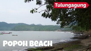 preview picture of video 'Popoh Beach Tourism Object- Tulungagung - East Java'