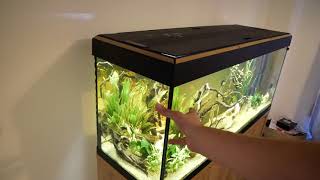 Download lagu An Introduction to the Fluval Roma 240 Fish Tank Aquarium mp3