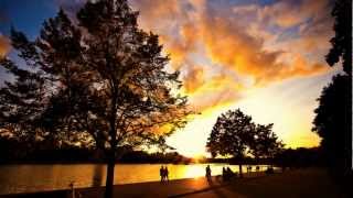 Relaxed all Day ~ Wellness Music ♫ Evening